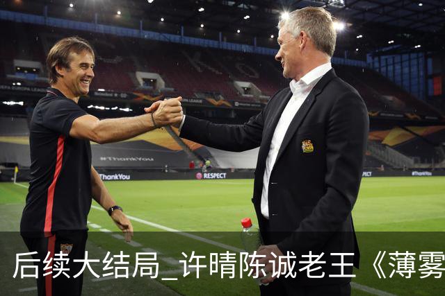 后续大结局 许晴陈诚老王《薄雾锁清秋》《四个工友》