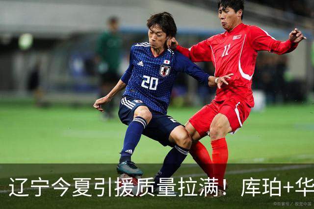 辽宁今夏引援质量拉满！库珀+华子场均42分，克里斯也能稳内线！